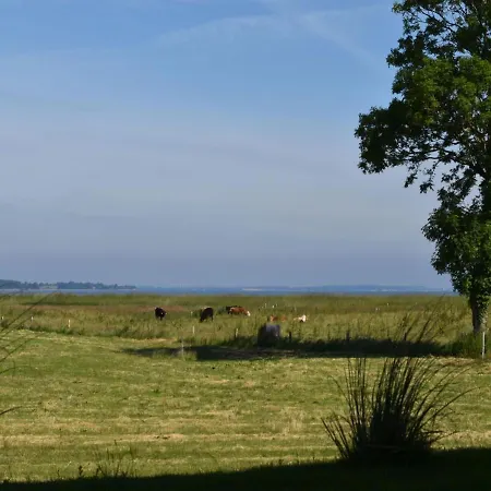 Ferienhaus Mein Ostseeplatzchen Am Meer 8